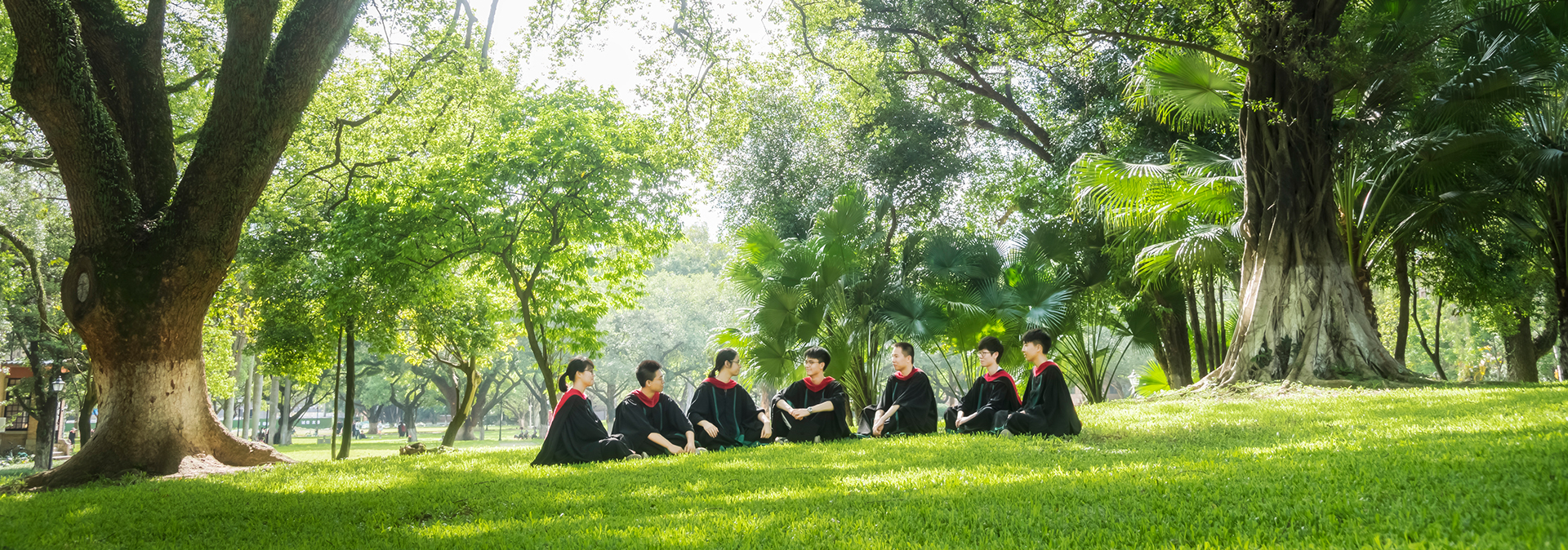 拍打電磁鐵定制表